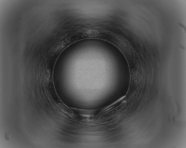 X0000091900752200709191237