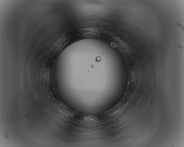 X0000091900753200709191237