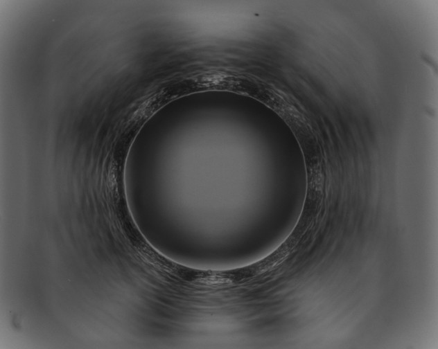 X0000091900754200709191237