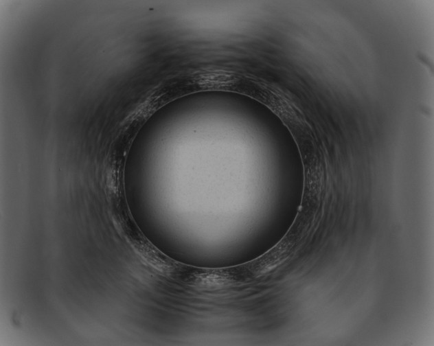 X0000091900755200709191237