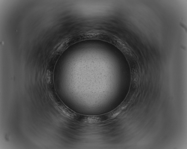 X0000091900758200709191237