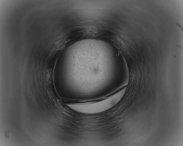 X0000091900759200709191237