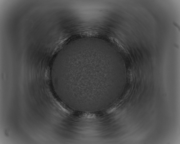 X0000091900760200709191237