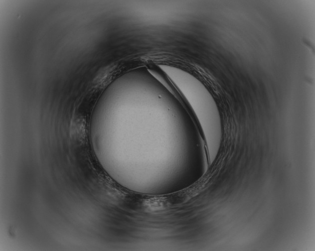 X0000091900761200709191237