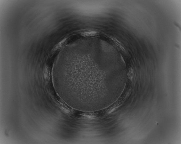 X0000091900763200709191237