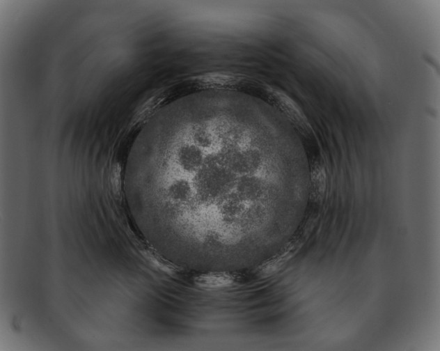 X0000091900765200709191237