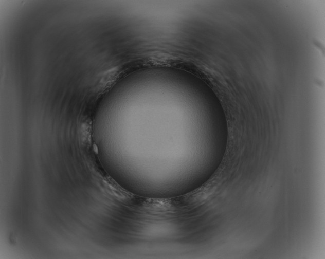 X0000091900768200709191237