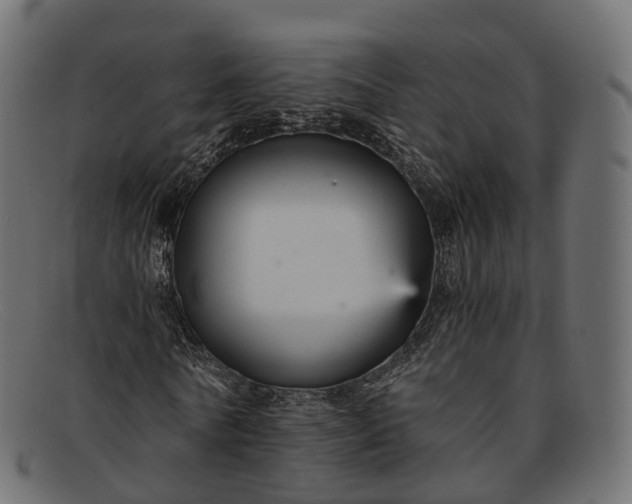 X0000091900770200709191237