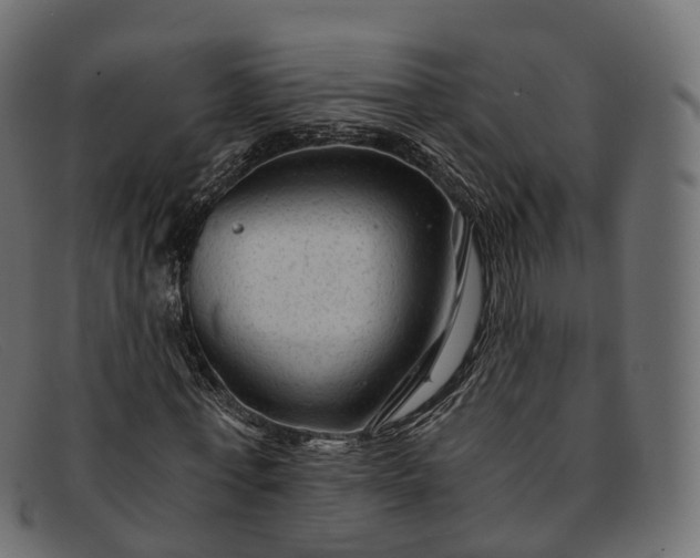 X0000091900771200709191237