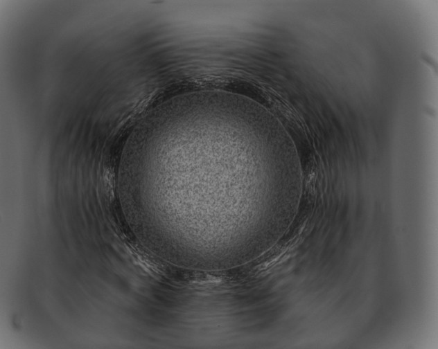 X0000091900772200709191237