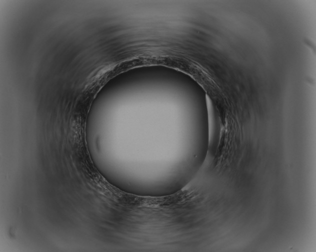 X0000091900773200709191237