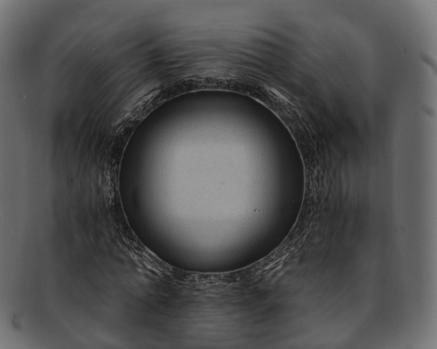 X0000091900774200709191237