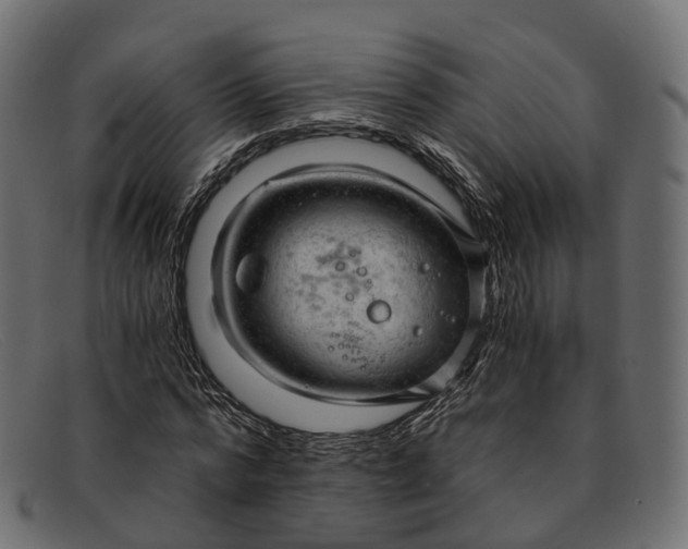 X0000091900776200709191237