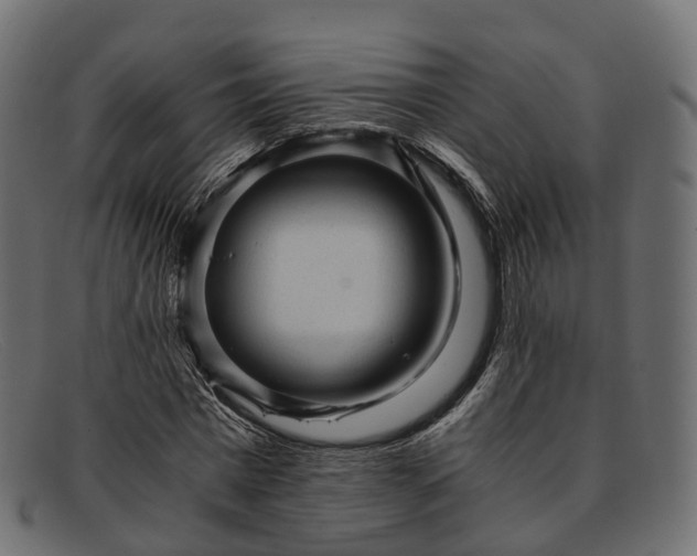 X0000091900777200709191237