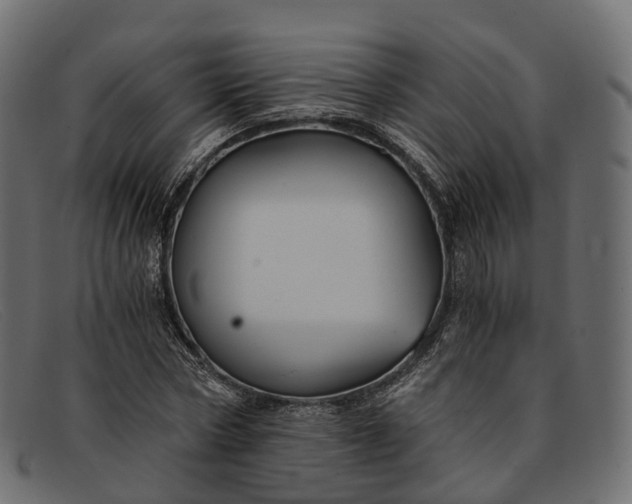 X0000091900778200709191237