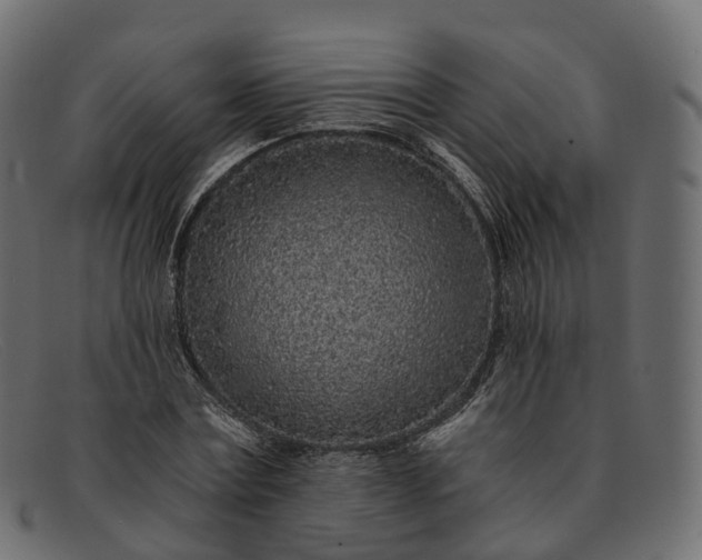 X0000091900779200709191237