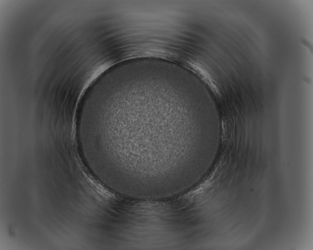 X0000091900780200709191237