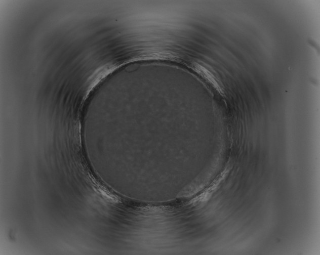 X0000091900781200709191237