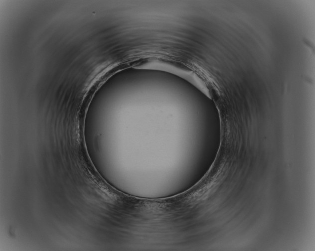 X0000091900782200709191237