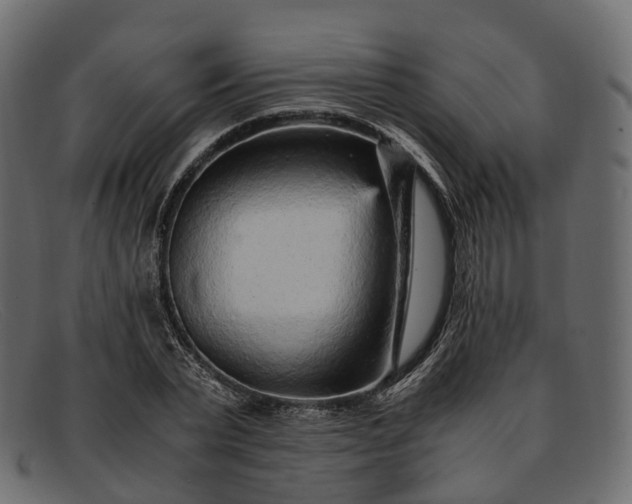 X0000091900783200709191237