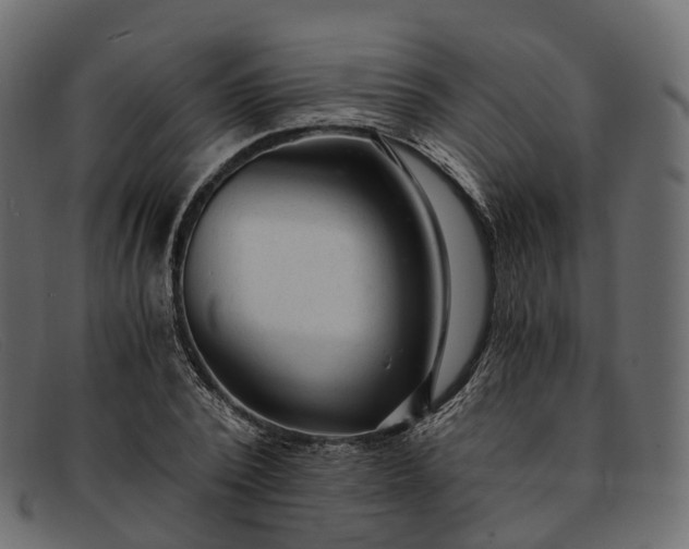 X0000091900784200709191237