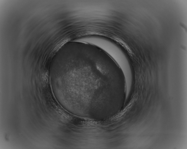 X0000091900785200709191237