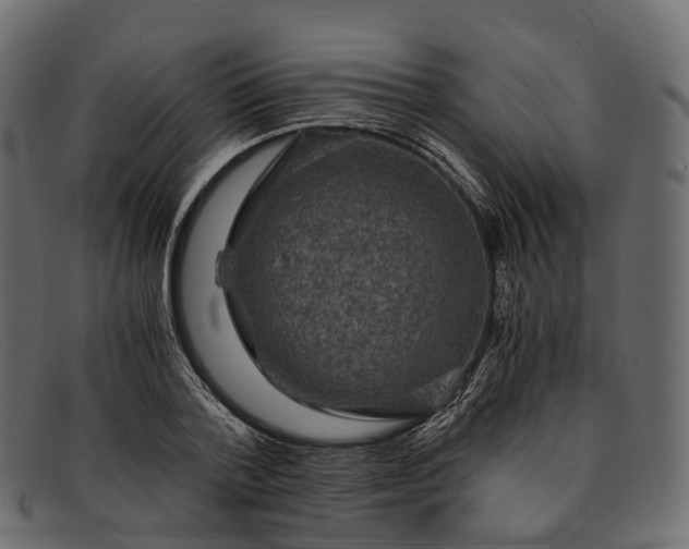 X0000091900788200709191237