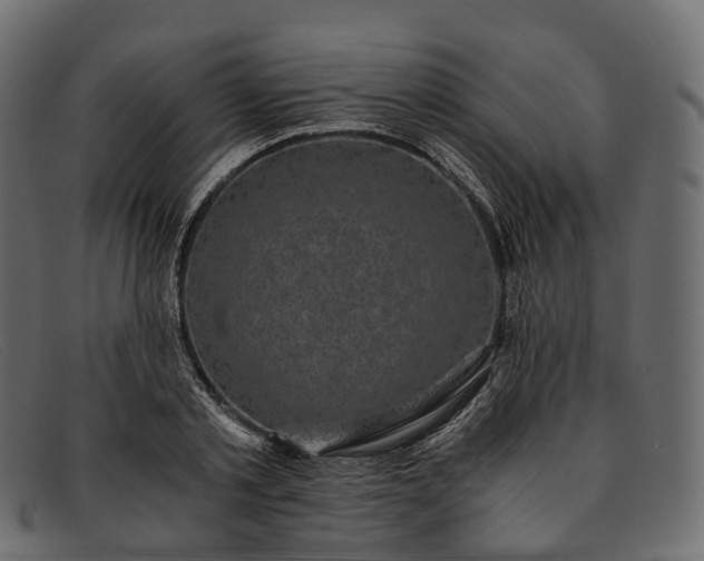 X0000091900789200709191237