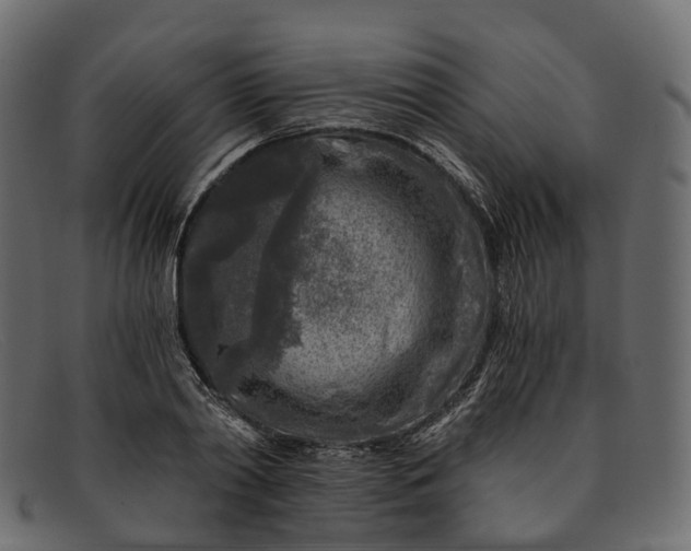 X0000091900790200709191237