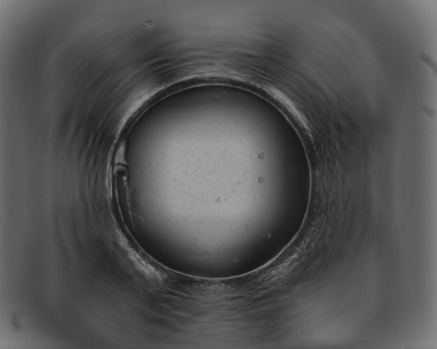 X0000091900791200709191237