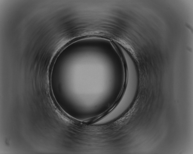 X0000091900792200709191237