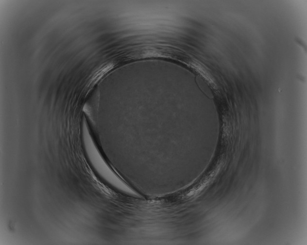 X0000091900793200709191237