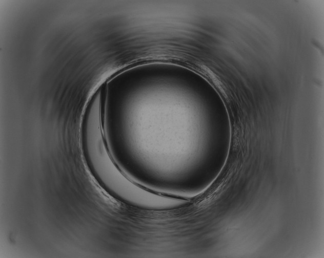 X0000091900795200709191237