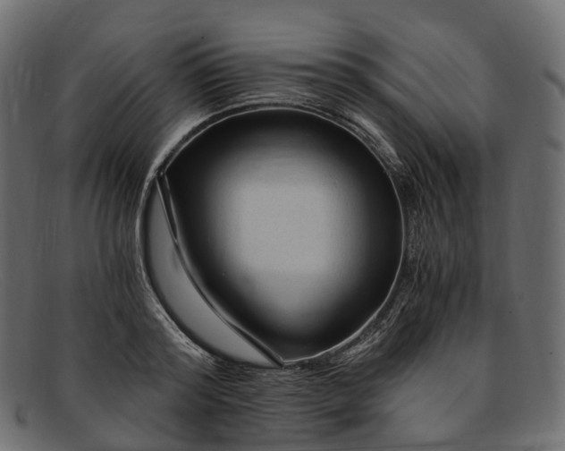 X0000091900796200709191237