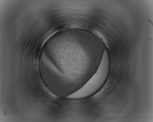 X0000091900798200709191236