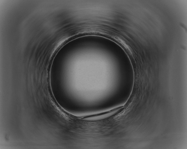 X0000091900799200709191236