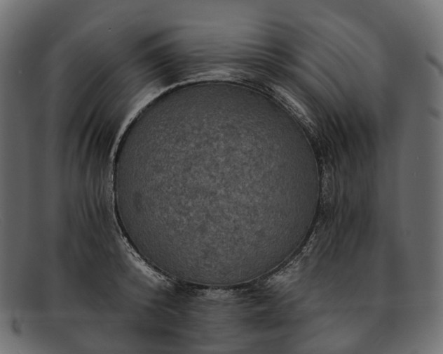 X0000091900800200709191236