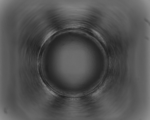 X0000091900802200709191236