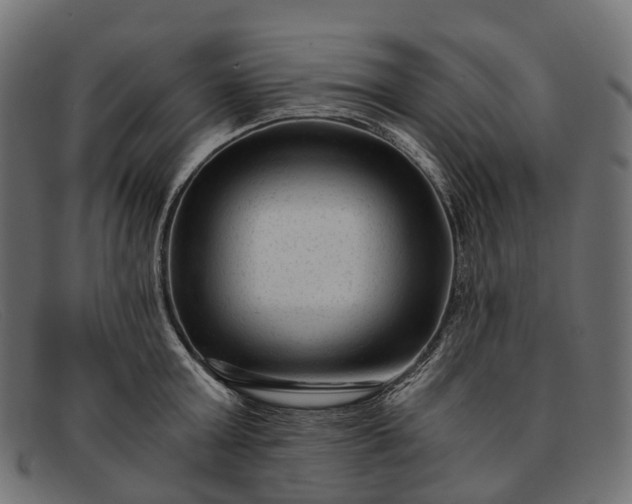 X0000091900803200709191236