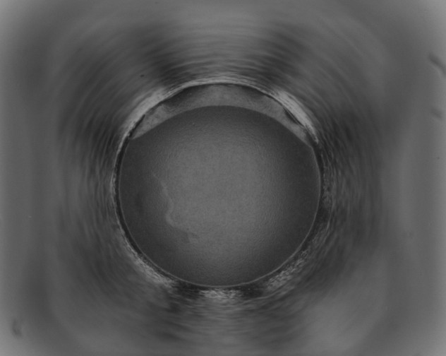 X0000091900805200709191236