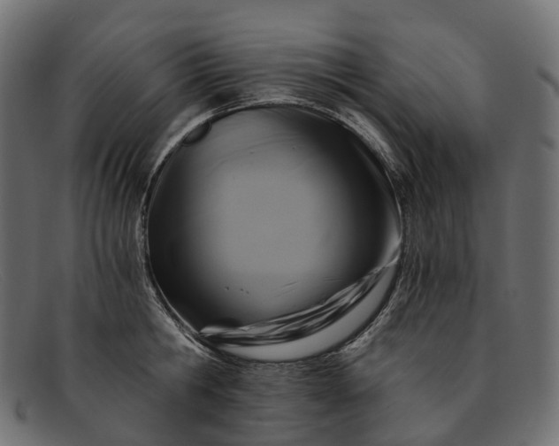 X0000091900806200709191236