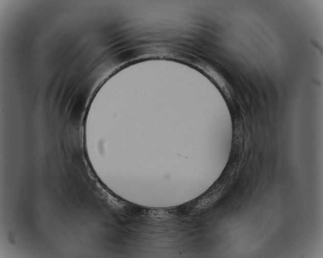 X0000091900807200709191236