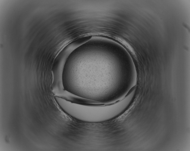 X0000091900809200709191236