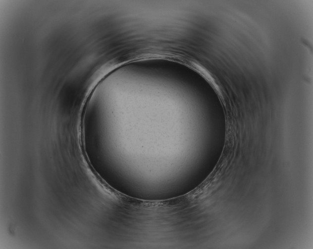 X0000091900811200709191236