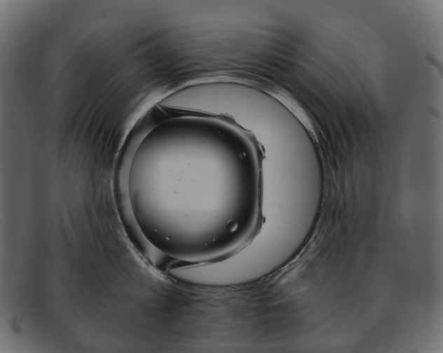 X0000091900813200709191236