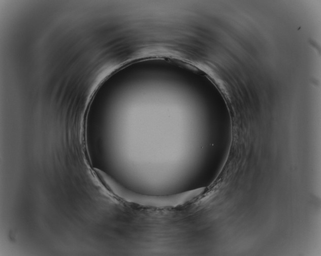 X0000091900815200709191236