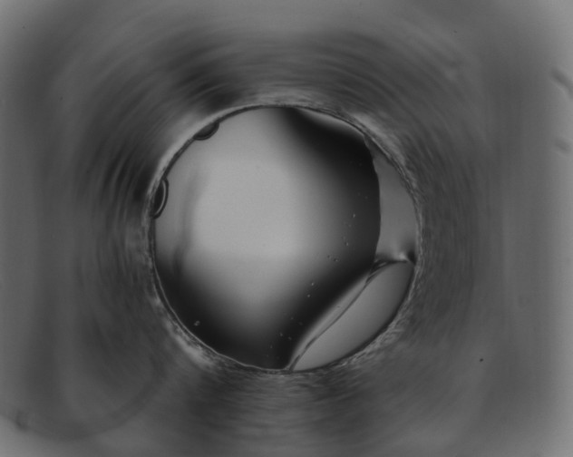 X0000091900816200709191236