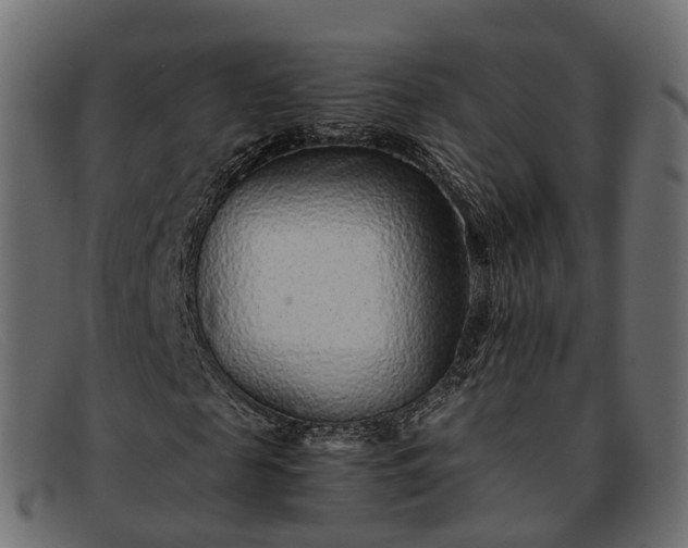 X0000091900817200709191236