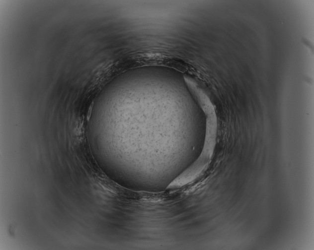 X0000091900818200709191236