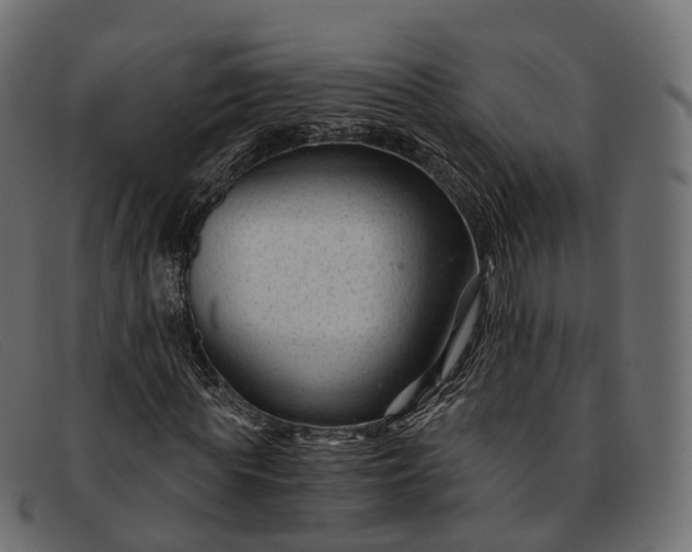 X0000091900819200709191236